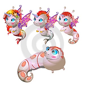 Set fantasy cartoon seahorse isolated on a white background. Stages of transformation from larvae in the sea unicorn