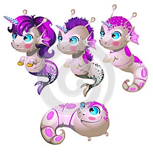 Set fantasy cartoon seahorse isolated on a white background. Stages of transformation from larvae in the sea unicorn