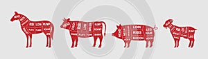Set of farm animals diagram cuts. Butcher scheme poster. Pig, Horse, Goat, Cow cuts of meats. Meat diagram illustration