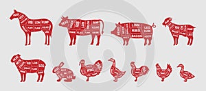 Set of farm animals diagram cuts. Butcher scheme poster. Pig, Horse, Turkey, Goat, Sheep, Chicken, Rooster, Duck, Rabbit