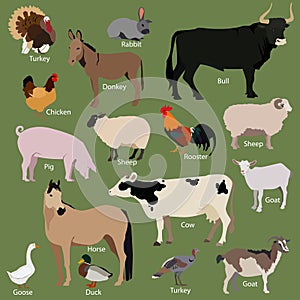 Set of farm animals icons. Flat style design