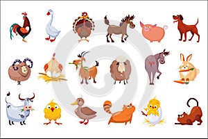 Set of farm animals. Livestock and poultry. Various domestic birds, horses, pig, rabbit, sheep, cats and dogs. Colorful