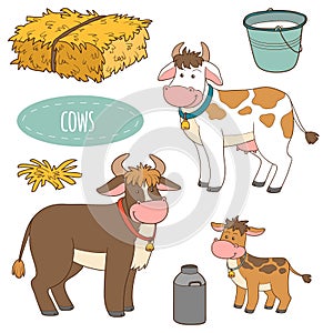 Set of farm animals and objects, vector family cows