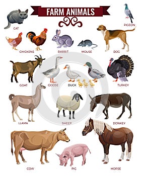 Farm animals vector