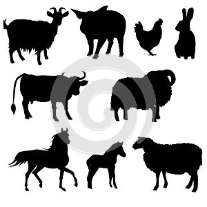 A set of farm animals. Vector isolated on a white background. Horse, Foal, Cow, Goat, Pig, Chicken, Sheep, Ram, Rabbit