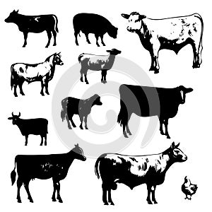 Set Farm animals. Vector sketches hand drawn illustration background.