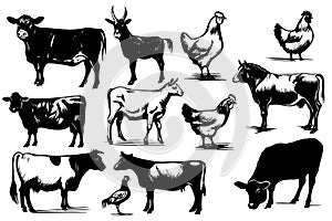 Set Farm animals. Vector sketches hand drawn illustration background.