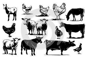 Set Farm animals. Vector sketches hand drawn illustration background.