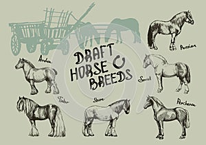 Set farm horse, shire, tinker, russian, soviet, percheron, arden