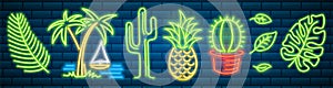 Set of fashion neon sign. Cactus and pineapple, tropical plants, palm trees and leaves. Night bright signboard, Glowing