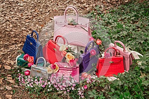 A set of fashion product photography of women`s handbags and platinum bags in spring