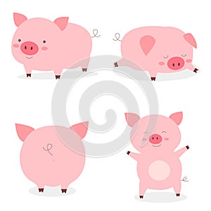 Set fat little cute pigs.The year of the pig. Funny pigs vector