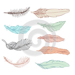 Set of feather