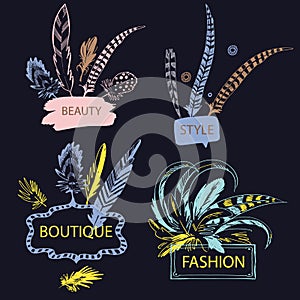 Set of feather with frame. Hand drawn vector illustration.