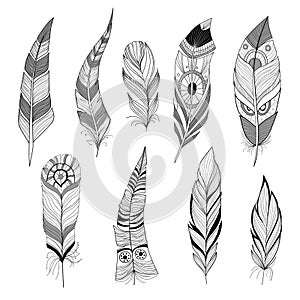 Set of feathers