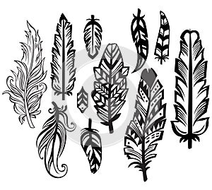 Set of Feathers