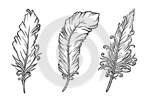 Set of feathers drawing. Vector illustration