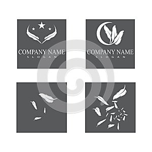 Set Feathers Logo Template vector symbol