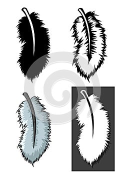 Set of Feathers types with different concept