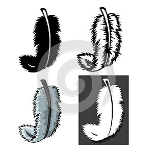 Set of Feathers types with different concept