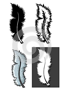 Set of Feathers types with different concept