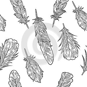 Set feathers. Vintage black engraving illustration. Isolated white background