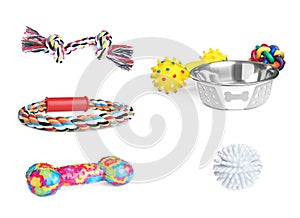Set with feeding bowl and different toys for pet on white background