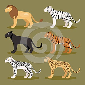 Set felines. Vector Illustration