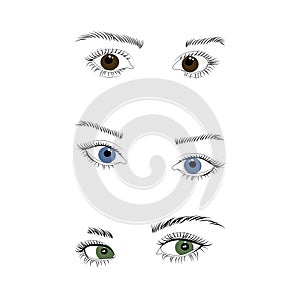 Set of female eyes and brows