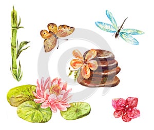 Set of feng shui symbols. Watercolor illustrations of lotus, mas