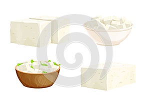 Set feta cheese pieces, tofu portion in bowl in cartoon style detailed ingredient isolated on white background. Greek