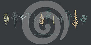 Set of field flowers, herbs. Vector silhouettes collection