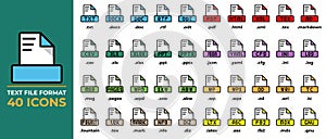 Set File format icons in flat style. txt, ppt, pdf, doc, csv. File format icon. vector illustration