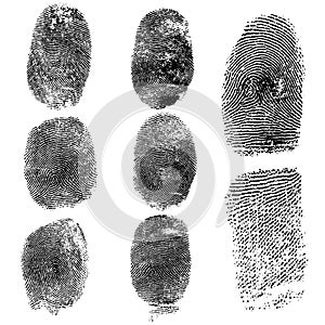 Set of fingerprints, vector illustration