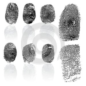 Set of fingerprints, vector illustration