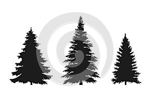 Set of fir tree silhouette. Christmas and New Year design elements. Christmas trees photo