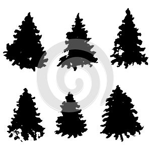 Set of fir tree silhouettes. Black grunge Christmas trees. Watercolor spruces isolated on white background. Vector