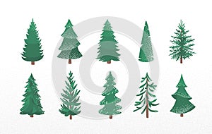 Set of fir tree with snow texture. Pine and spruce xmas vector illustration isolated on white background. Simple flat