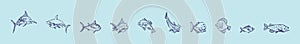 Set of fish animals cartoon icon design template with various models. vector illustration isolated on blue background