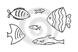 Set of fish doodle outline hand drawn illustration Isolated fish thin linear collection on white background