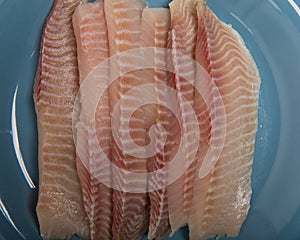 Set of Fish Fresh Fillets