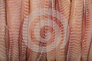 Set of Fish Fresh Fillets