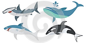 Set of fish and mammals, cartoon shark and dolphin, whale, hammerhead shark . Vector illustration