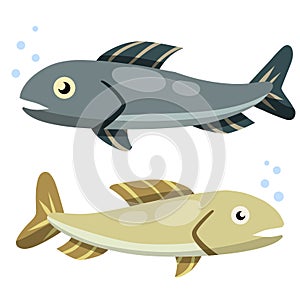 Set of fish. Sea food. Cartoon flat illustration isolated on white background