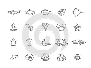 Set of fish and sea food line icons. Shrimp, oyster, squid, crab, ell, fugu, lobster, carp, sturgeon, jellyfish, octopus