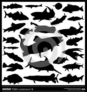 Set of fish silhouette. Vector.