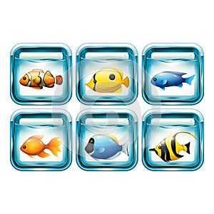 Set of fishes in aquariums illustration.. Vector illustration decorative background design