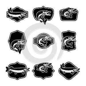 Set of fishing emblems with pike fish Design element for emblem, sign, badge. .