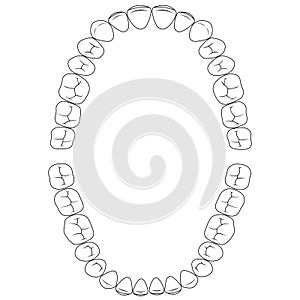 Set fissures teeth, the chewing surface of teeth upper and lower jaw, dental vector illustration for print or design dental