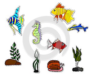 Set of five aquarium fish. Bright colorful flat fish. Illustrations for children`s books and encyclopedias